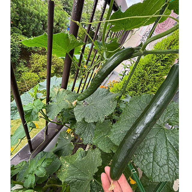 syutmmさんの部屋