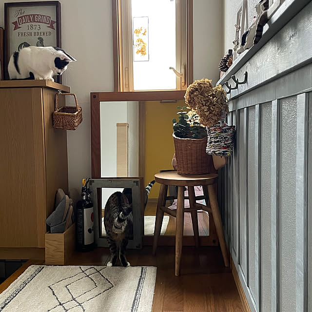 nobikoさんの部屋