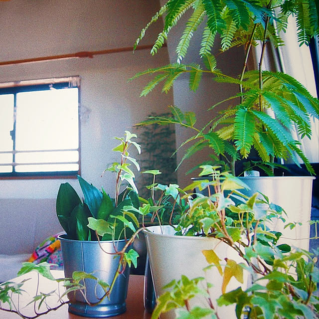 sokoage_suさんの実例写真