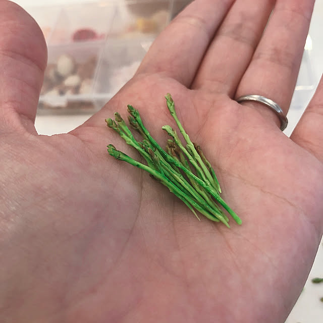 わたしのハンドメイド 秋/フェイク/ミニチュア/粘土/手作り雑貨...などのインテリア実例 - 2020-10-24 19:32:36