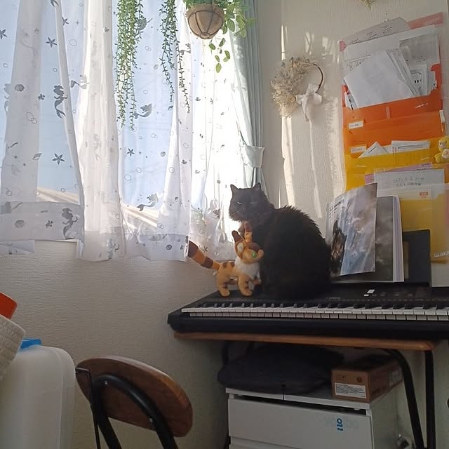 miyuさんの実例写真