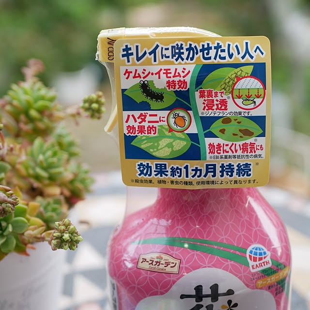 moku2さんの部屋