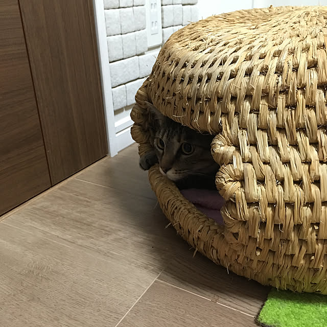 mikomaruさんの実例写真