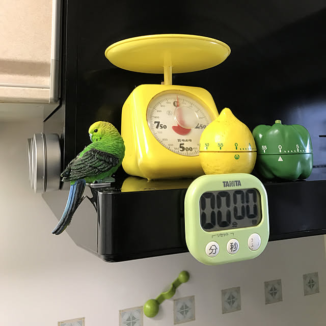 mizucchiさんの実例写真