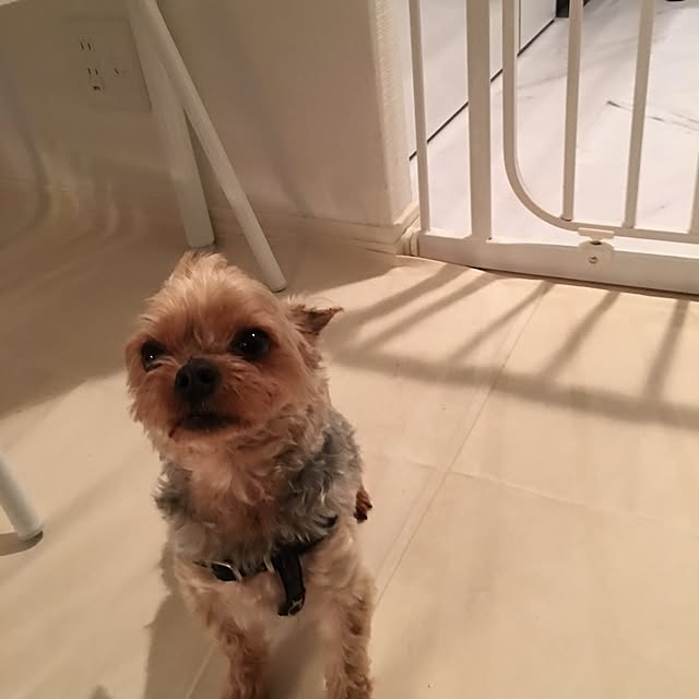 Lyonさんの実例写真