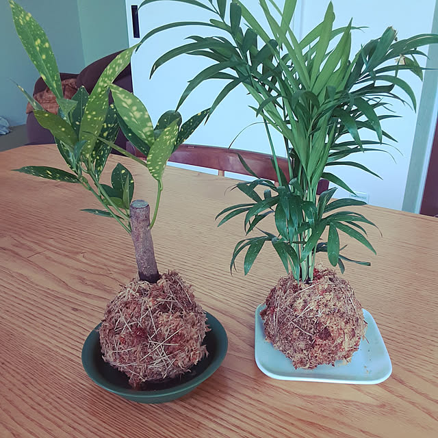 nabodayoさんの実例写真