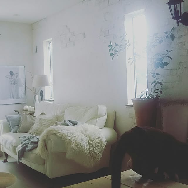mikemomoさんの実例写真