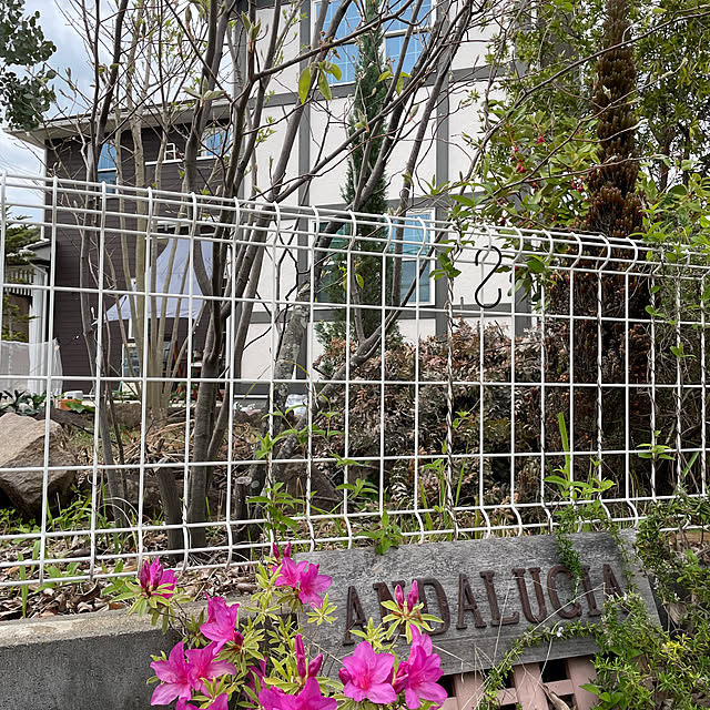 Andaluciaさんの実例写真