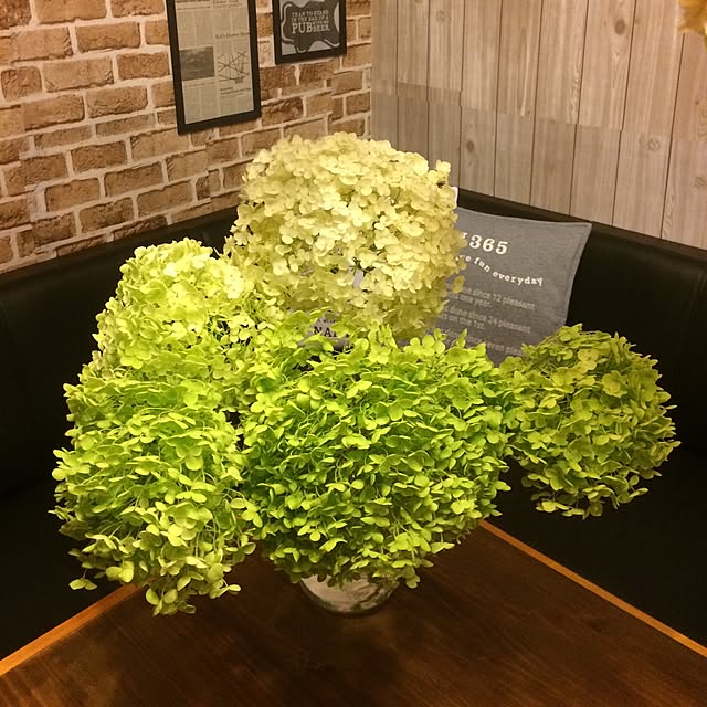 nodokaさんの実例写真
