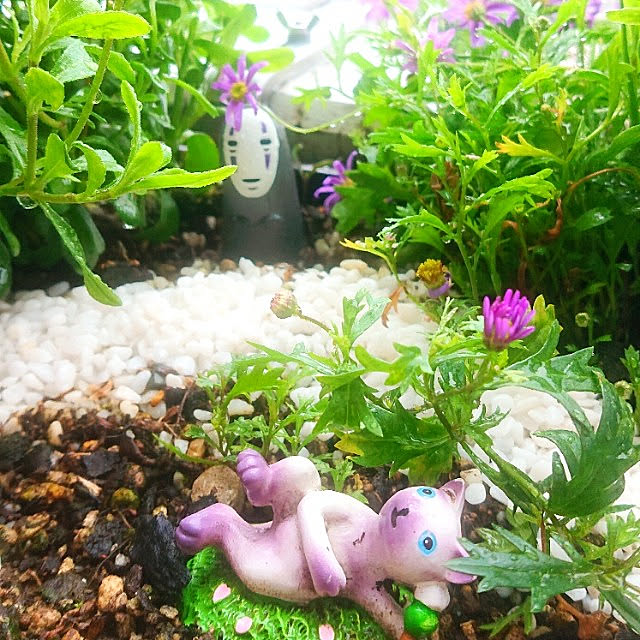 chondyさんの実例写真