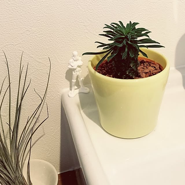 maLoLonさんの実例写真