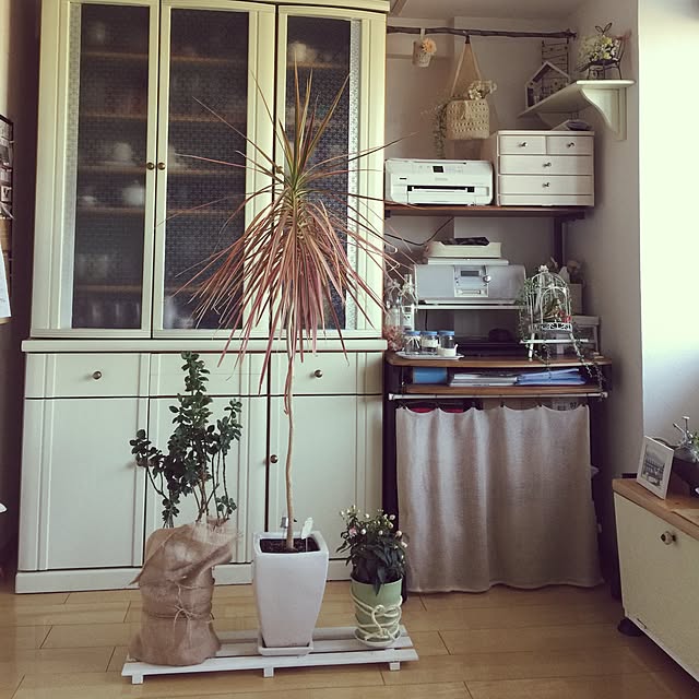 reeさんの実例写真