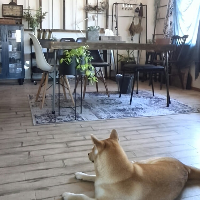 kさんの実例写真