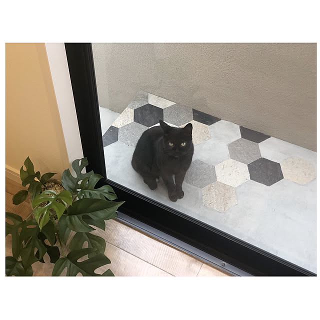 BTGさんの実例写真