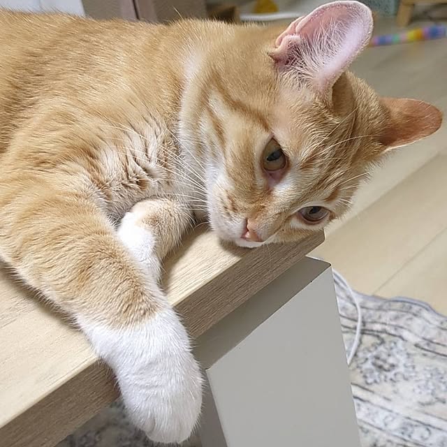 minnieさんの実例写真