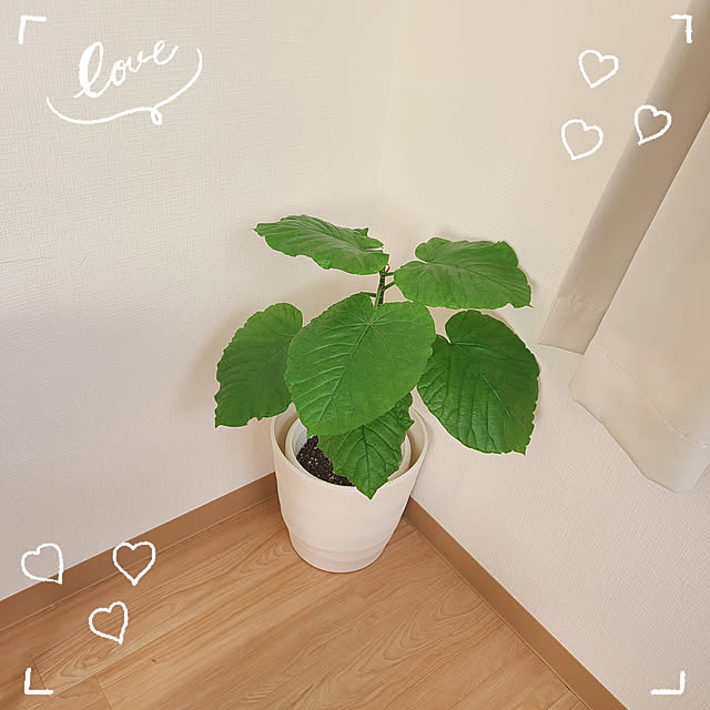 Miri.さんの実例写真