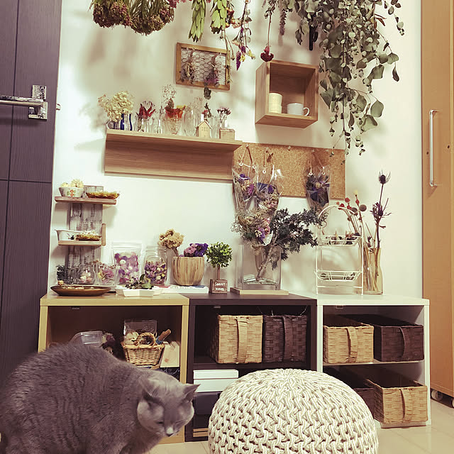 anneさんの実例写真