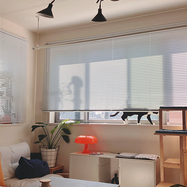 mako2yaさんの部屋