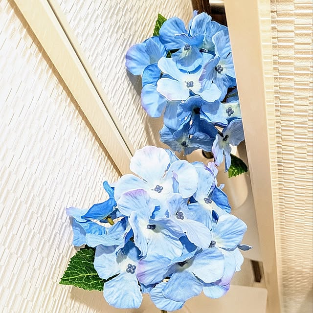 mi-saさんの部屋