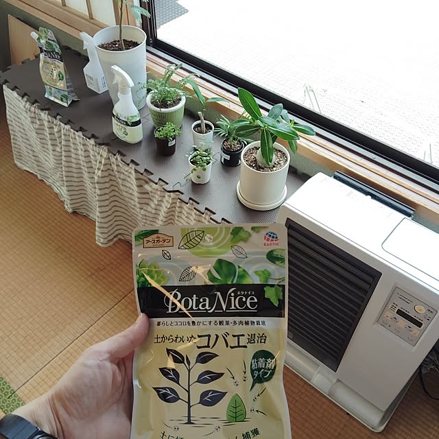 momomamaさんの部屋