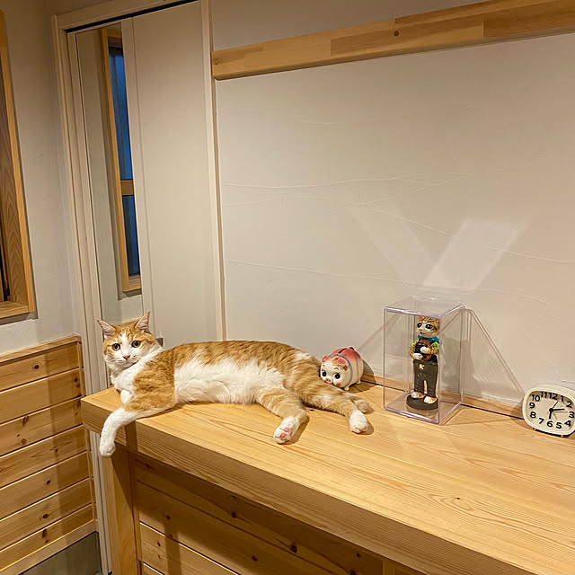 senbei.sakuramochiさんの実例写真