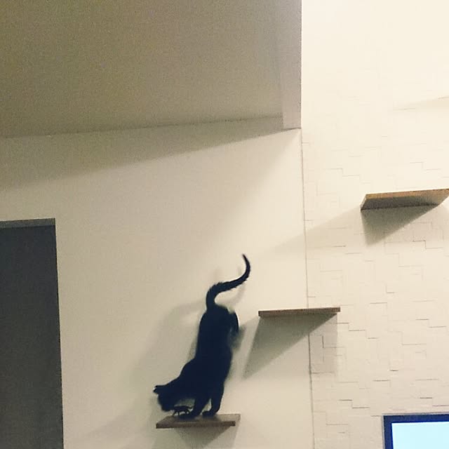 arutotoさんの実例写真