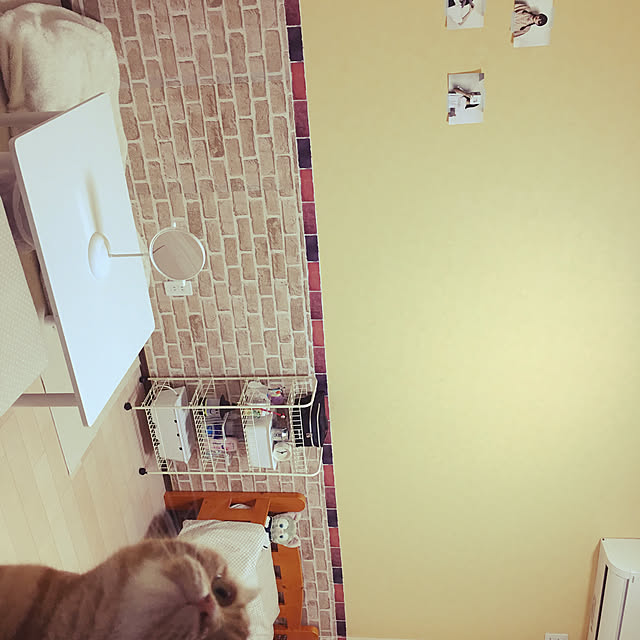 nekoさんの実例写真