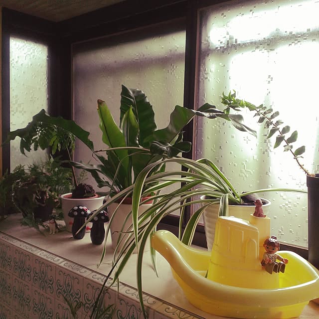 shion825さんの実例写真