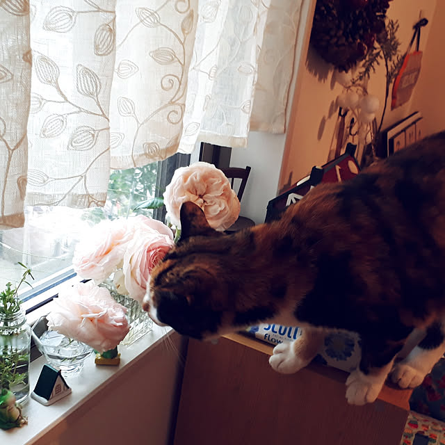 aiさんの実例写真