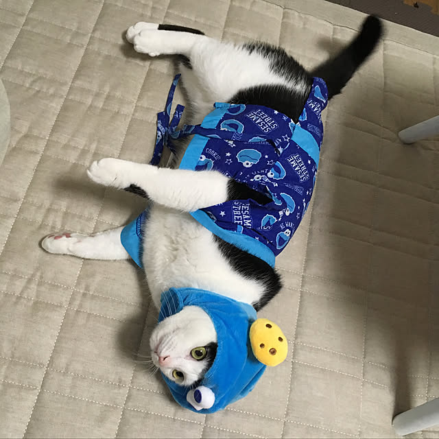 k.Iさんの実例写真