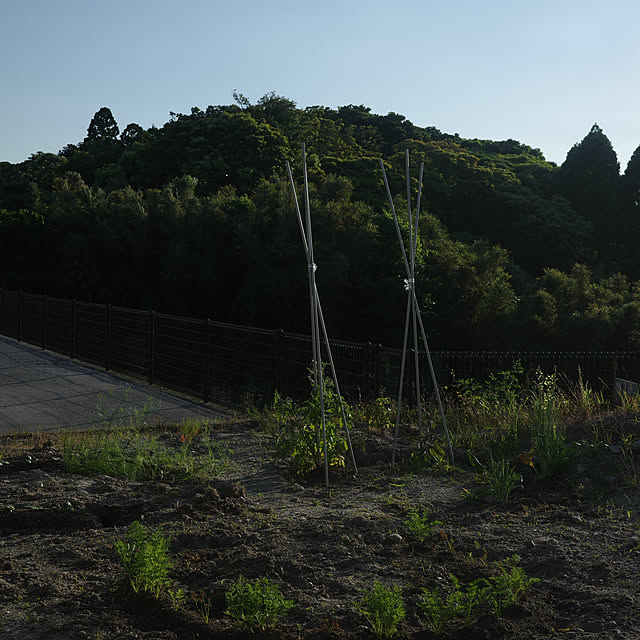 ______tnoieさんの実例写真