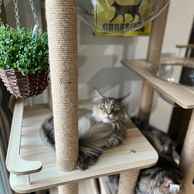 mayumiさんの部屋