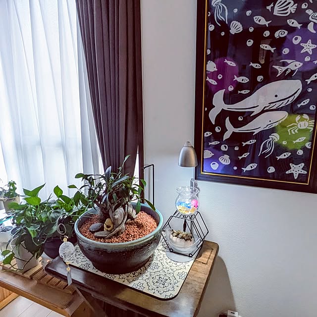 mi-saさんの部屋