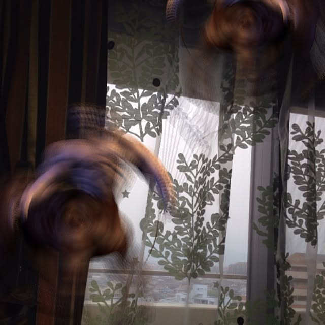 dadagoatさんの実例写真