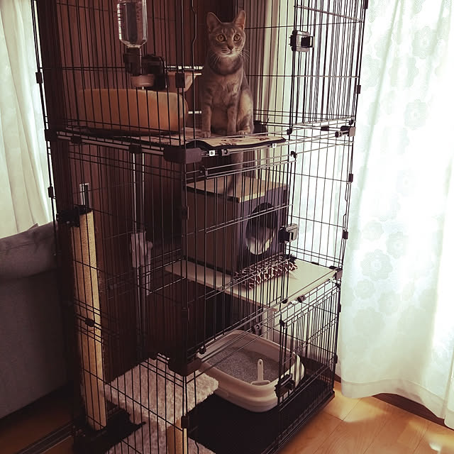 yukiさんの実例写真