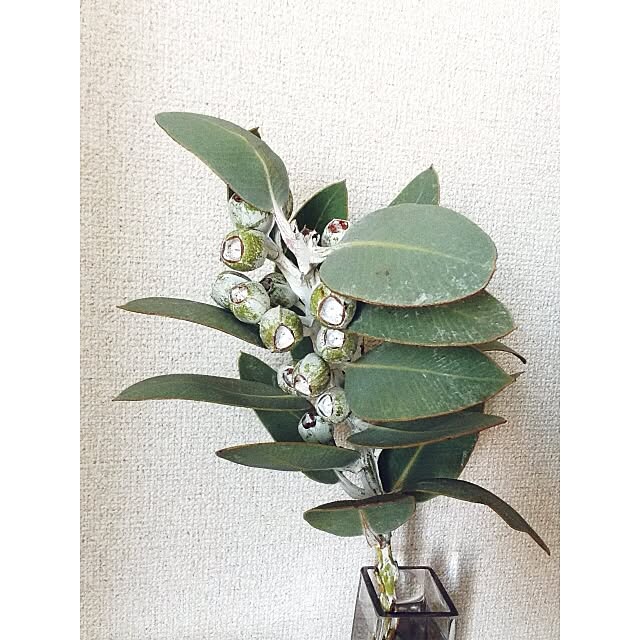 geshikoさんの実例写真