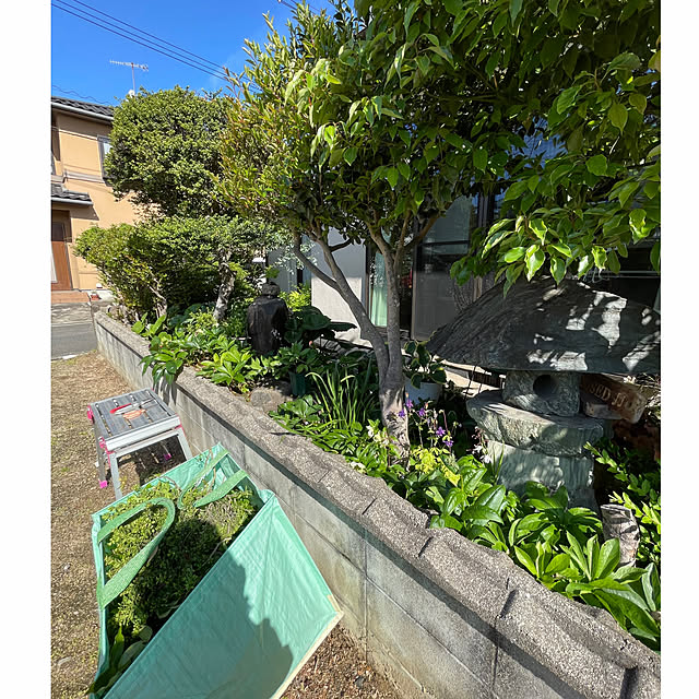 buchiさんの部屋