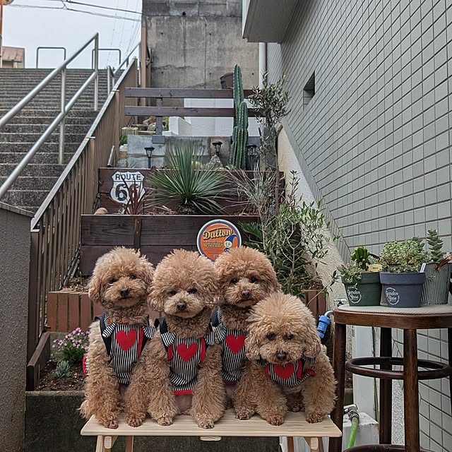 milk_hana_さんの実例写真