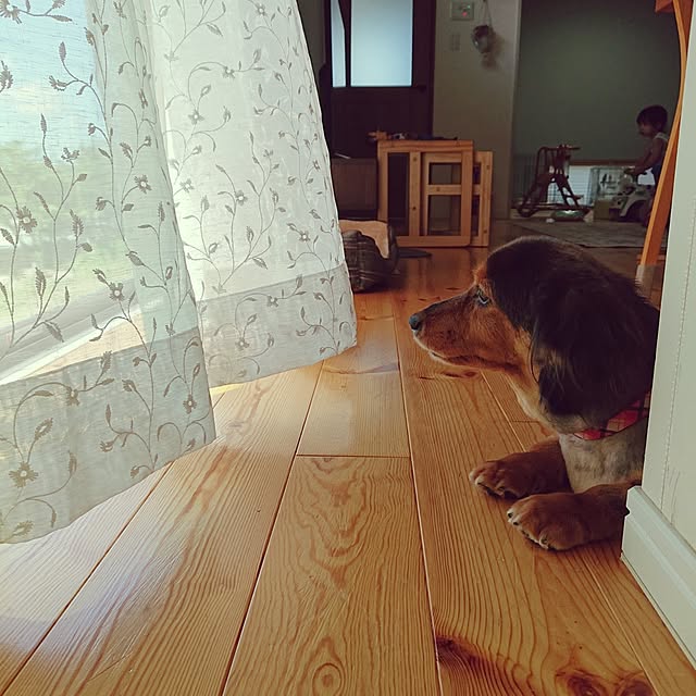 ri-eさんの実例写真