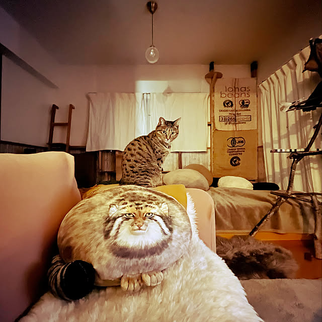 Mさんの実例写真