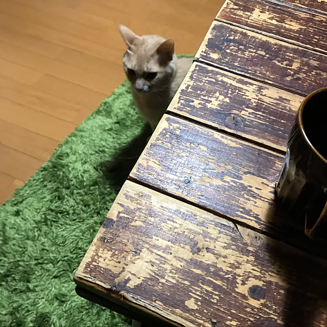 mikan161さんの実例写真