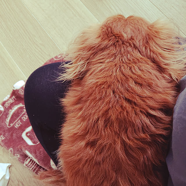 tora.maさんの実例写真