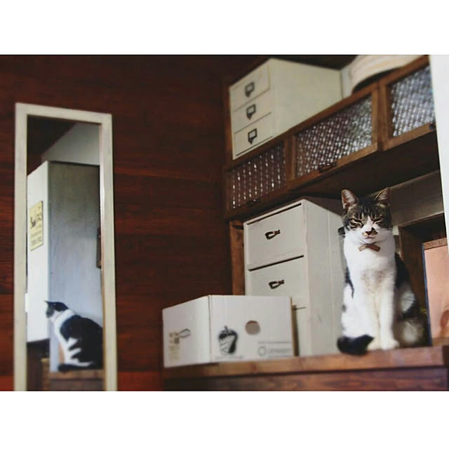 yukiさんの実例写真