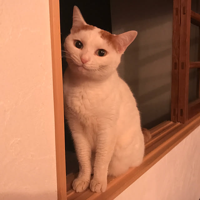 sakurasakuさんの実例写真