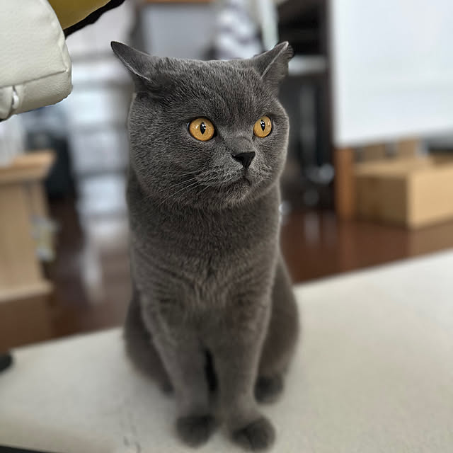 kittyさんの部屋