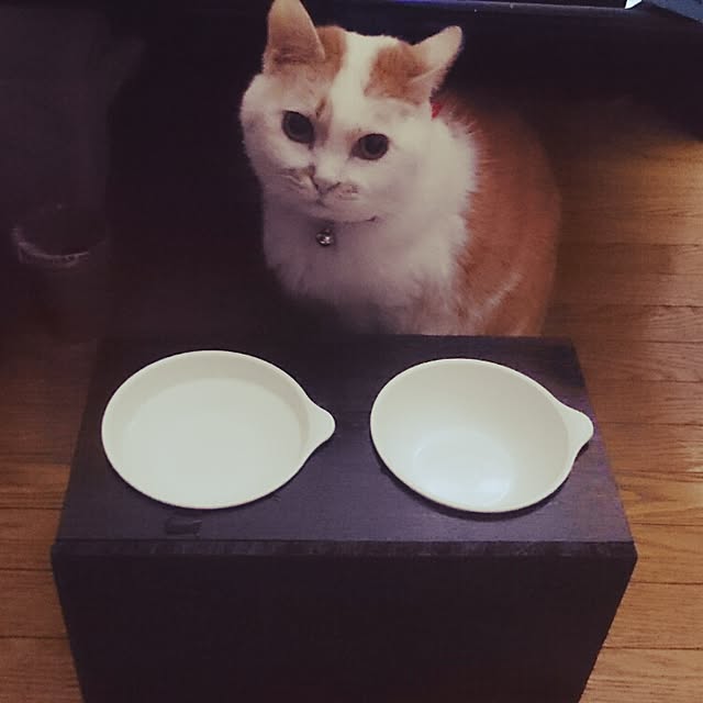 luxgさんの実例写真