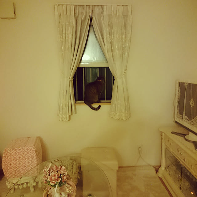 lilyさんの実例写真
