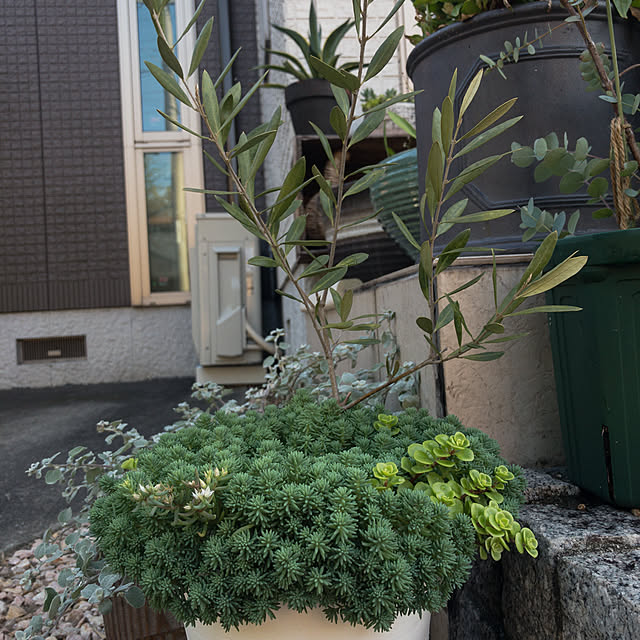 実例写真