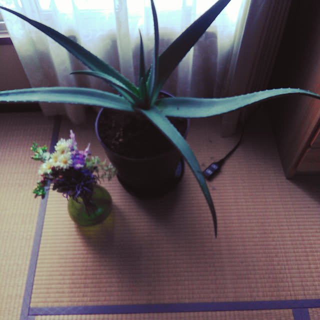 qpieさんの実例写真