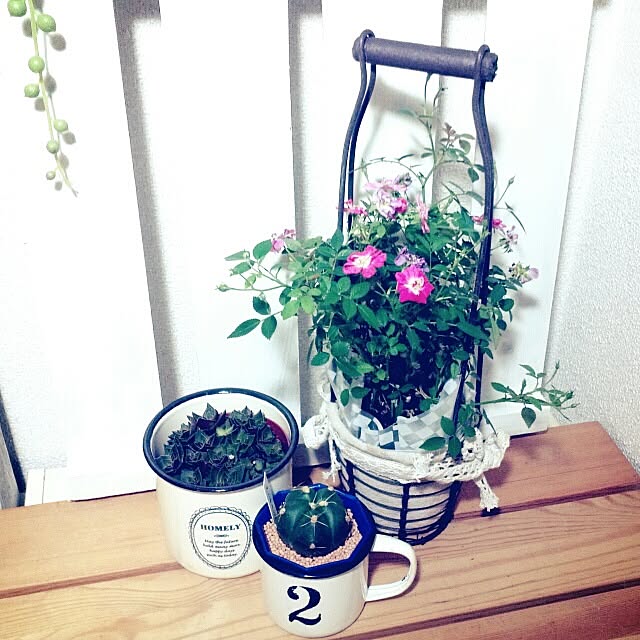 dezさんの実例写真